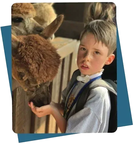 feeding-a-lama