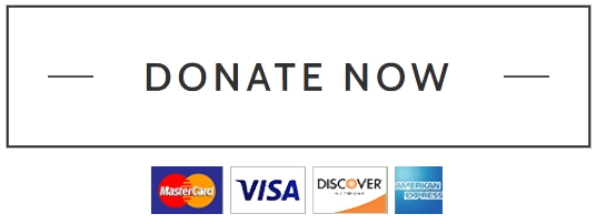 donate-now-btn